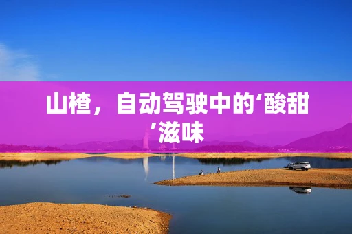 山楂，自动驾驶中的‘酸甜’滋味