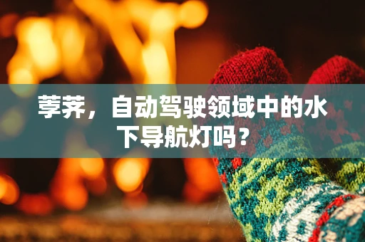 荸荠，自动驾驶领域中的水下导航灯吗？