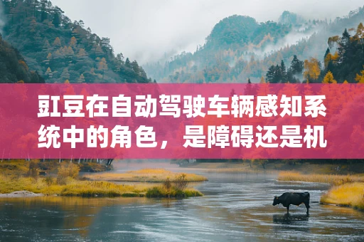 豇豆在自动驾驶车辆感知系统中的角色，是障碍还是机遇？