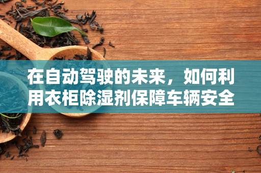 在自动驾驶的未来，如何利用衣柜除湿剂保障车辆安全？