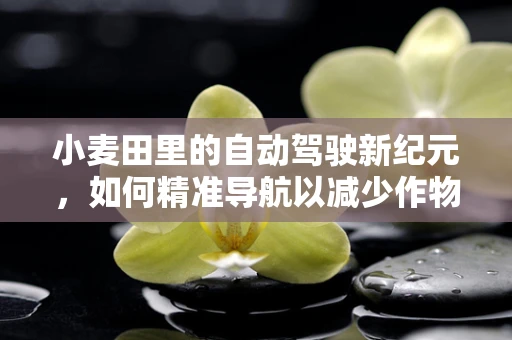 小麦田里的自动驾驶新纪元，如何精准导航以减少作物损失？