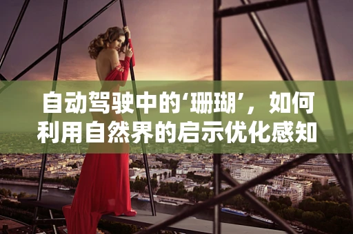 自动驾驶中的‘珊瑚’，如何利用自然界的启示优化感知系统？