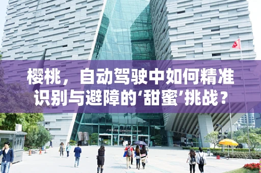 樱桃，自动驾驶中如何精准识别与避障的‘甜蜜’挑战？