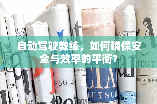 自动驾驶教练，如何确保安全与效率的平衡？