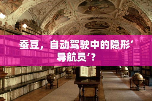 蚕豆，自动驾驶中的隐形‘导航员’？