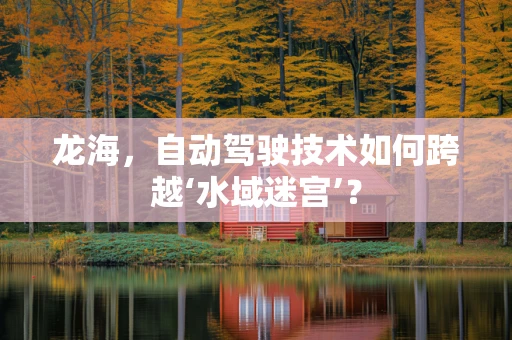 龙海，自动驾驶技术如何跨越‘水域迷宫’？