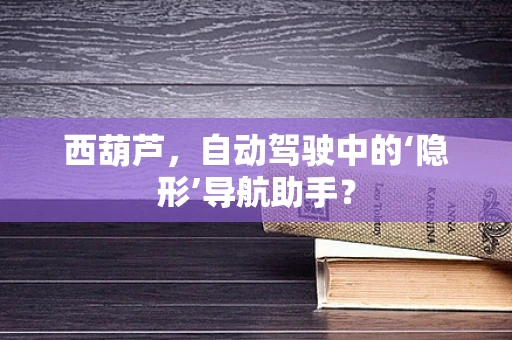西葫芦，自动驾驶中的‘隐形’导航助手？