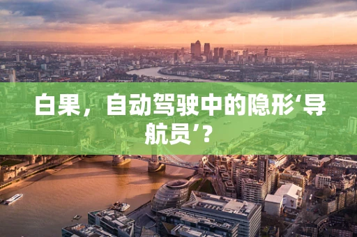 白果，自动驾驶中的隐形‘导航员’？