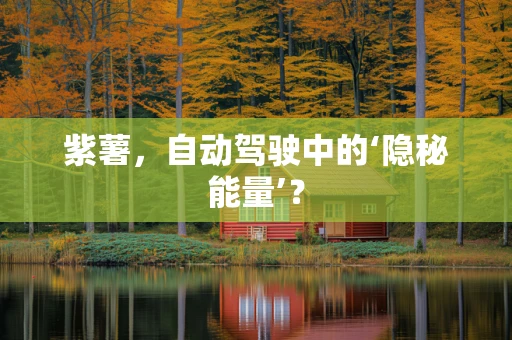 紫薯，自动驾驶中的‘隐秘能量’？
