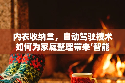 内衣收纳盒，自动驾驶技术如何为家庭整理带来‘智能’变革？