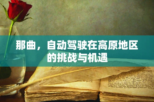 那曲，自动驾驶在高原地区的挑战与机遇