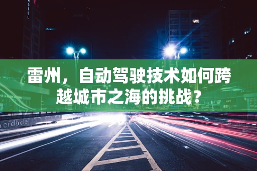 雷州，自动驾驶技术如何跨越城市之海的挑战？