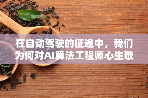 在自动驾驶的征途中，我们为何对AI算法工程师心生敬佩？