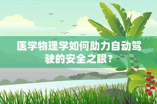 医学物理学如何助力自动驾驶的安全之眼？