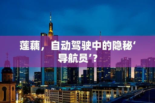 莲藕，自动驾驶中的隐秘‘导航员’？