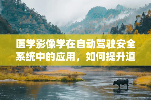 医学影像学在自动驾驶安全系统中的应用，如何提升道路安全？