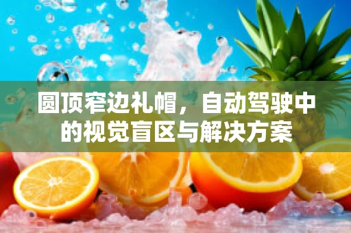 圆顶窄边礼帽，自动驾驶中的视觉盲区与解决方案