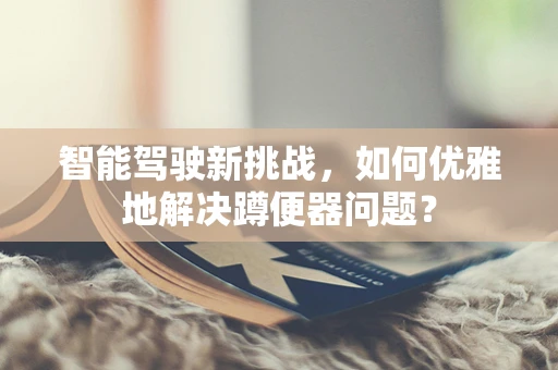 智能驾驶新挑战，如何优雅地解决蹲便器问题？