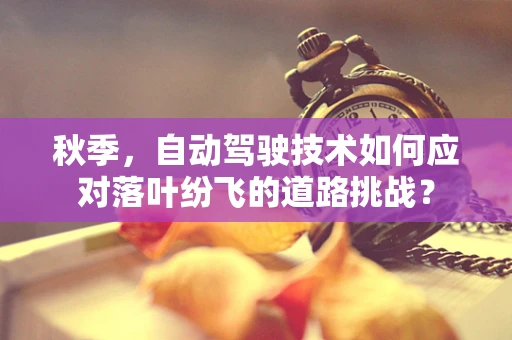秋季，自动驾驶技术如何应对落叶纷飞的道路挑战？