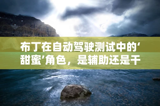 布丁在自动驾驶测试中的‘甜蜜’角色，是辅助还是干扰？
