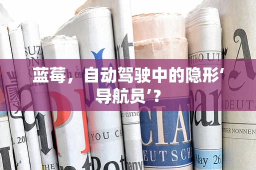 蓝莓，自动驾驶中的隐形‘导航员’？