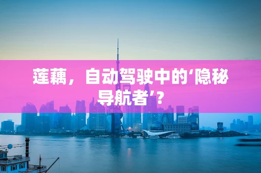 莲藕，自动驾驶中的‘隐秘导航者’？