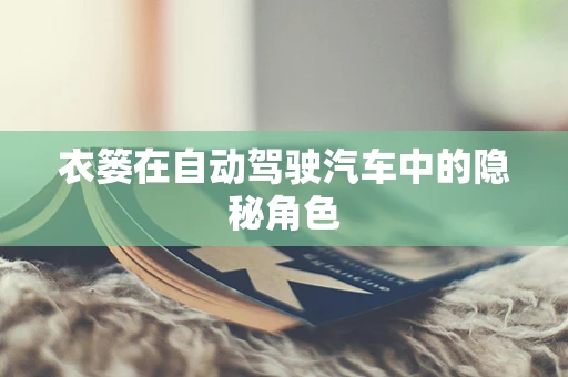 衣篓在自动驾驶汽车中的隐秘角色