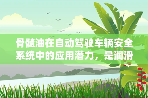骨髓油在自动驾驶车辆安全系统中的应用潜力，是润滑还是障碍？