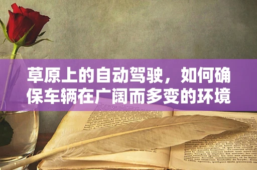 草原上的自动驾驶，如何确保车辆在广阔而多变的环境中安全行驶？