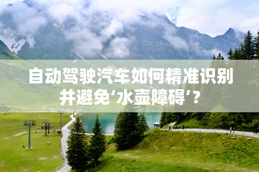 自动驾驶汽车如何精准识别并避免‘水壶障碍’？