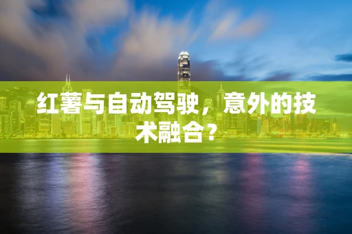 红薯与自动驾驶，意外的技术融合？