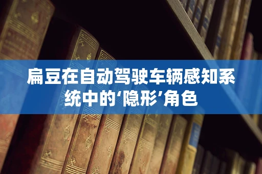 扁豆在自动驾驶车辆感知系统中的‘隐形’角色