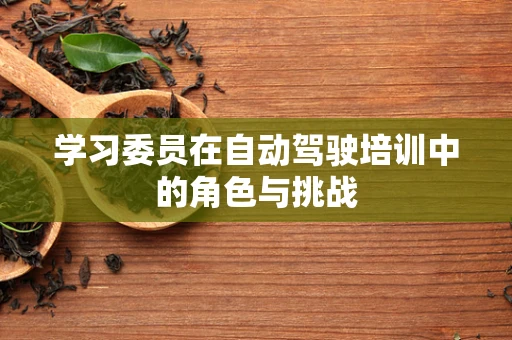 学习委员在自动驾驶培训中的角色与挑战