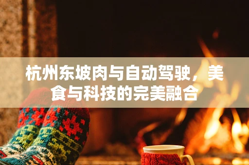 杭州东坡肉与自动驾驶，美食与科技的完美融合