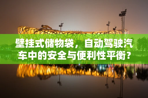 壁挂式储物袋，自动驾驶汽车中的安全与便利性平衡？