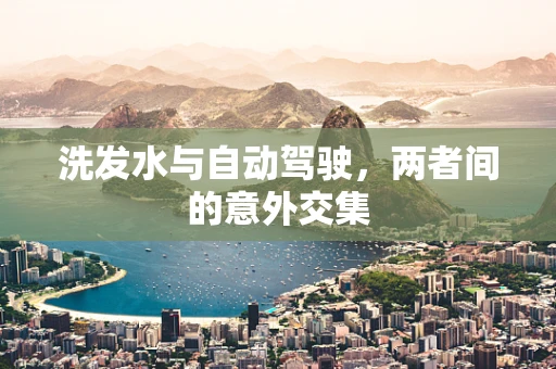 洗发水与自动驾驶，两者间的意外交集