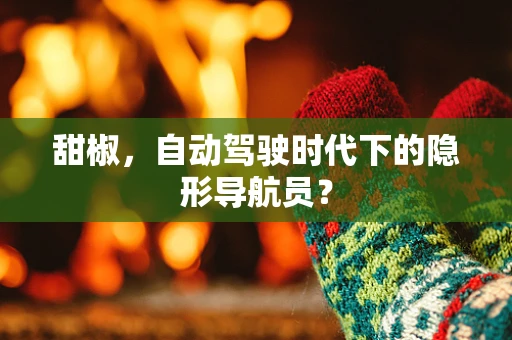 甜椒，自动驾驶时代下的隐形导航员？