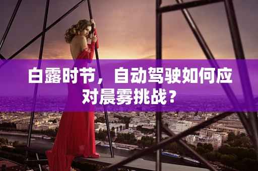 白露时节，自动驾驶如何应对晨雾挑战？