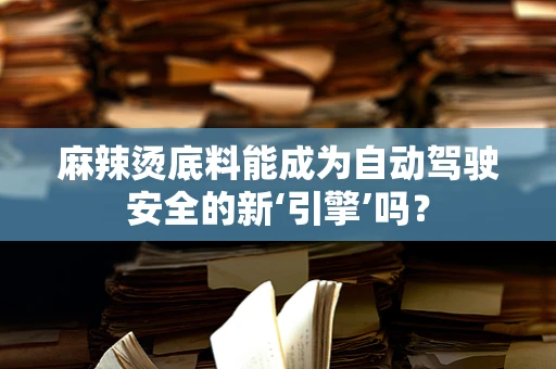 麻辣烫底料能成为自动驾驶安全的新‘引擎’吗？