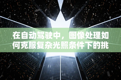 在自动驾驶中，图像处理如何克服复杂光照条件下的挑战？