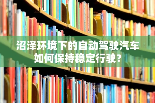 沼泽环境下的自动驾驶汽车如何保持稳定行驶？