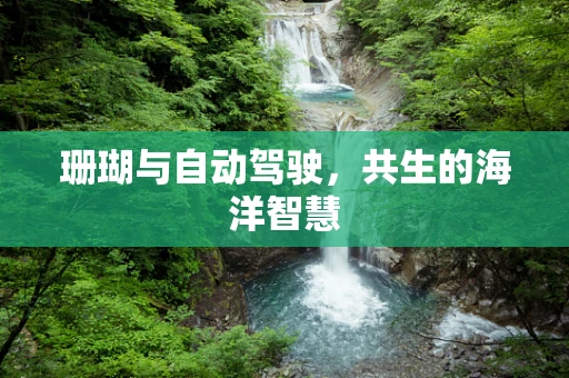 珊瑚与自动驾驶，共生的海洋智慧