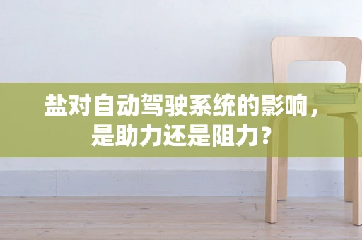 盐对自动驾驶系统的影响，是助力还是阻力？