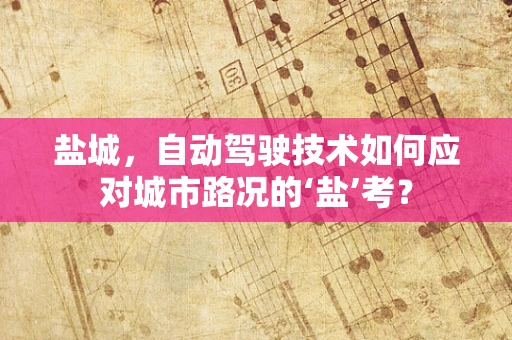 盐城，自动驾驶技术如何应对城市路况的‘盐’考？