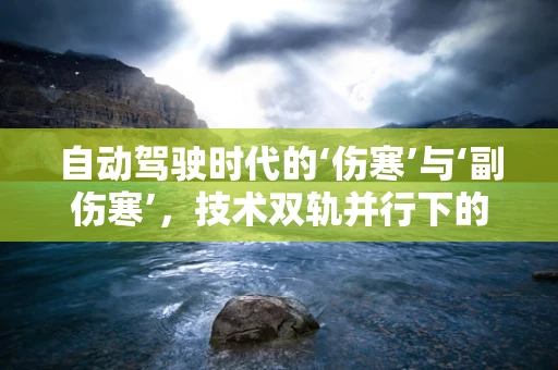 自动驾驶时代的‘伤寒’与‘副伤寒’，技术双轨并行下的挑战与机遇？
