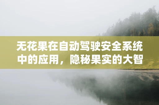 无花果在自动驾驶安全系统中的应用，隐秘果实的大智慧？