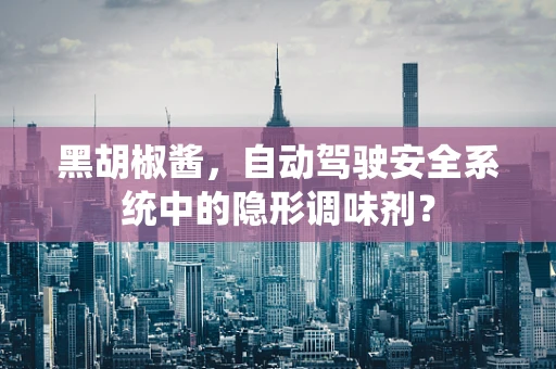 黑胡椒酱，自动驾驶安全系统中的隐形调味剂？