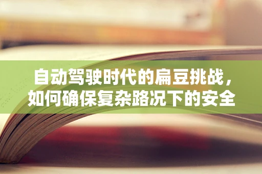 自动驾驶时代的扁豆挑战，如何确保复杂路况下的安全识别？