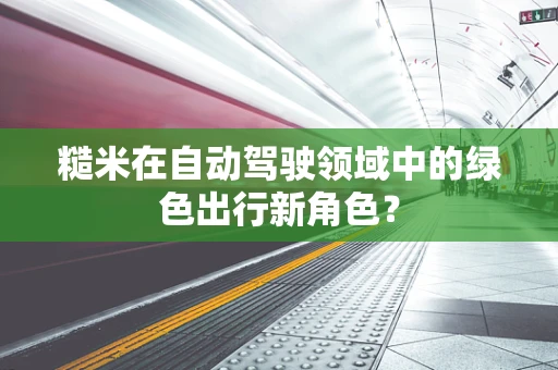糙米在自动驾驶领域中的绿色出行新角色？