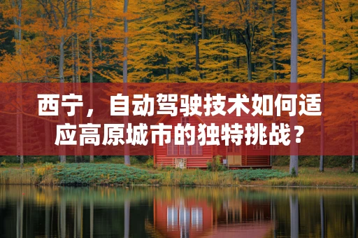 西宁，自动驾驶技术如何适应高原城市的独特挑战？